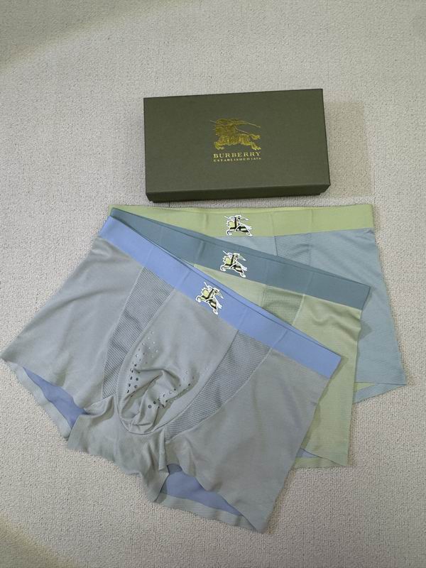 Burberry boxer L-4XL 07